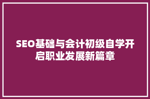 SEO基础与会计初级自学开启职业发展新篇章