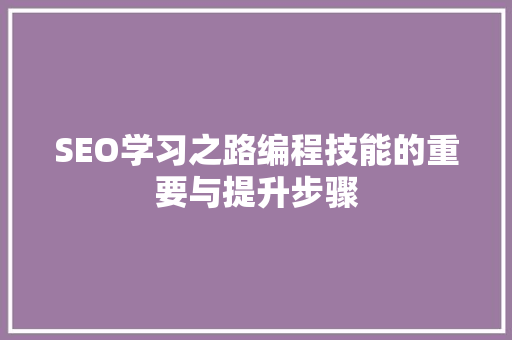 SEO学习之路编程技能的重要与提升步骤 搜狗SEO
