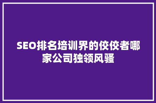 SEO排名培训界的佼佼者哪家公司独领风骚