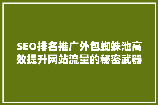 SEO排名推广外包蜘蛛池高效提升网站流量的秘密武器