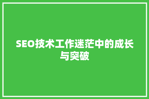 SEO技术工作迷茫中的成长与突破 SEO关键词