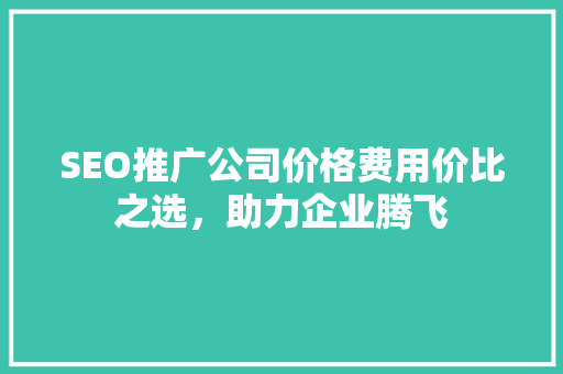 SEO推广公司价格费用价比之选，助力企业腾飞