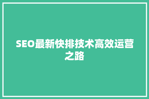 SEO最新快排技术高效运营之路 百度SEO