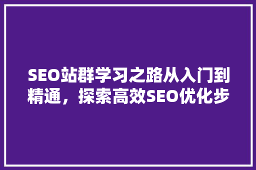 SEO站群学习之路从入门到精通，探索高效SEO优化步骤