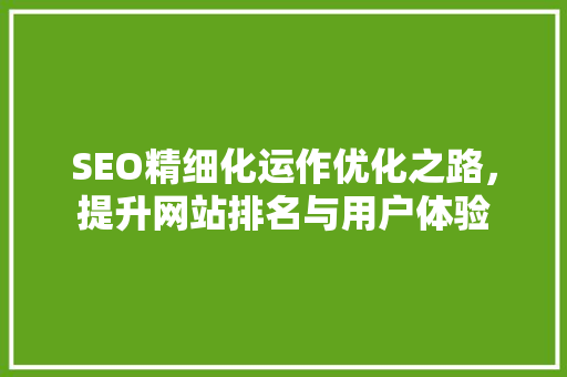 SEO精细化运作优化之路，提升网站排名与用户体验 网站建设公司