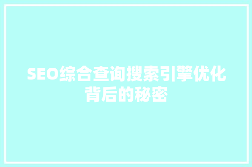 SEO综合查询搜索引擎优化背后的秘密 网站建设公司