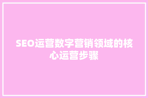 SEO运营数字营销领域的核心运营步骤