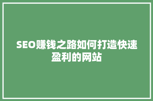 SEO赚钱之路如何打造快速盈利的网站