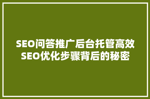 SEO问答推广后台托管高效SEO优化步骤背后的秘密 网站建设公司