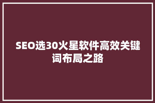 SEO选30火星软件高效关键词布局之路