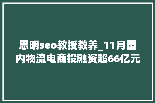 思明seo教授教养_11月国内物流电商投融资超66亿元Geek驹马运链