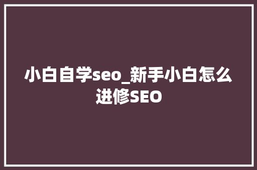 小白自学seo_新手小白怎么进修SEO 小白自学seo_新手小白怎么进修SEO 百度SEO