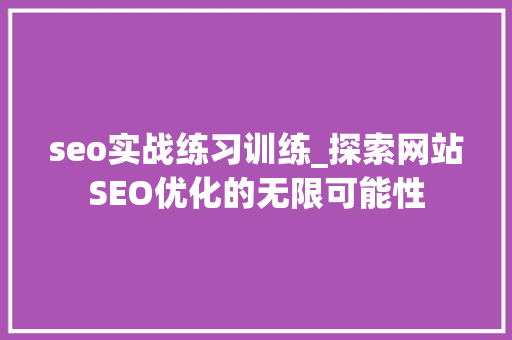 seo实战练习训练_探索网站SEO优化的无限可能性
