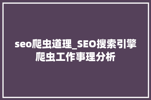 seo爬虫道理_SEO搜索引擎爬虫工作事理分析