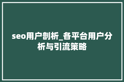 seo用户剖析_各平台用户分析与引流策略