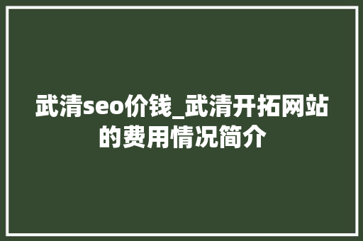 武清seo价钱_武清开拓网站的费用情况简介 武清seo价钱_武清开拓网站的费用情况简介 百度SEO
