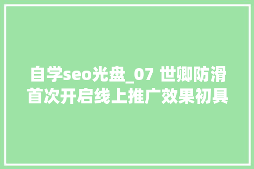 自学seo光盘_07 世卿防滑首次开启线上推广效果初具成效