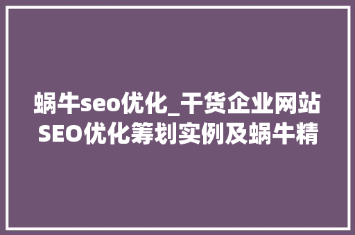 蜗牛seo优化_干货企业网站SEO优化筹划实例及蜗牛精灵软件的运用 蜗牛seo优化_干货企业网站SEO优化筹划实例及蜗牛精灵软件的运用 SEO关键词