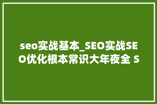 seo实战基本_SEO实战SEO优化根本常识大年夜全 SEO新手入门必备常识 seo实战基本_SEO实战SEO优化根本常识大年夜全 SEO新手入门必备常识 百度SEO