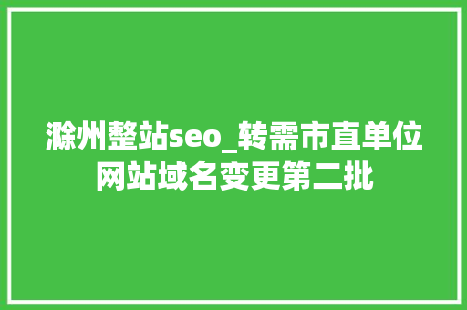滁州整站seo_转需市直单位网站域名变更第二批