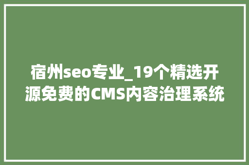 宿州seo专业_19个精选开源免费的CMS内容治理系统接私活创业拿去改改