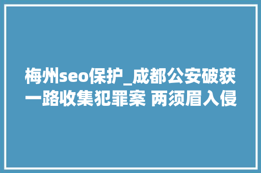 梅州seo保护_成都公安破获一路收集犯罪案 两须眉入侵目标网站被挡获 梅州seo保护_成都公安破获一路收集犯罪案 两须眉入侵目标网站被挡获 神马SEO