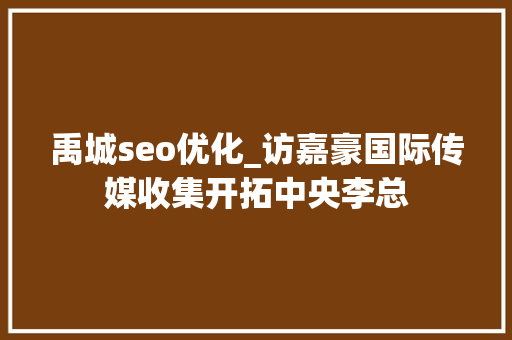 禹城seo优化_访嘉豪国际传媒收集开拓中央李总 禹城seo优化_访嘉豪国际传媒收集开拓中央李总 网站建设公司