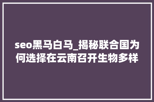 seo黑马白马_揭秘联合国为何选择在云南召开生物多样性大年夜会 seo黑马白马_揭秘联合国为何选择在云南召开生物多样性大年夜会 必应SEO