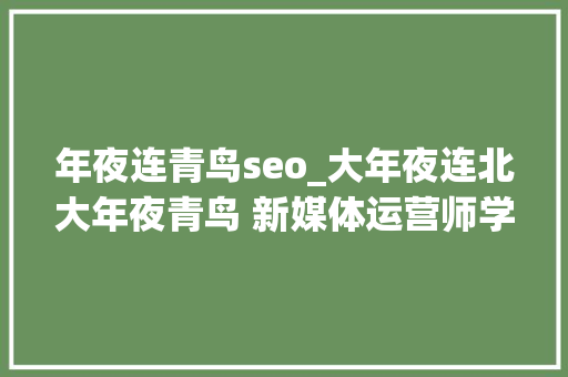 年夜连青鸟seo_大年夜连北大年夜青鸟 新媒体运营师学徒班免费招生啦