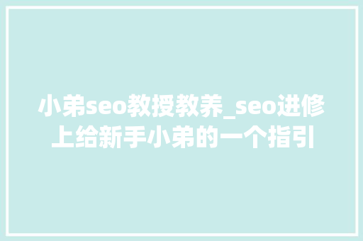 小弟seo教授教养_seo进修上给新手小弟的一个指引