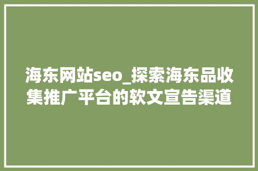 海东网站seo_探索海东品收集推广平台的软文宣告渠道