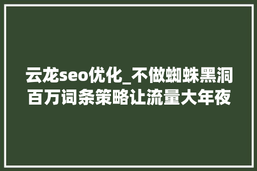 云龙seo优化_不做蜘蛛黑洞百万词条策略让流量大年夜爆发