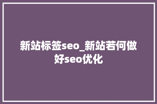 新站标签seo_新站若何做好seo优化