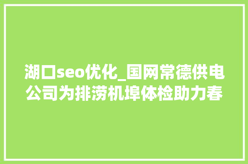 湖口seo优化_国网常德供电公司为排涝机埠体检助力春耕分娩
