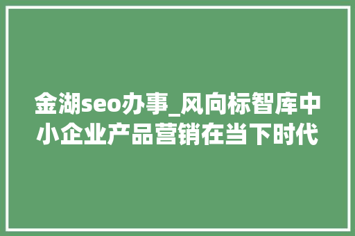 金湖seo办事_风向标智库中小企业产品营销在当下时代若何高效卖货 金湖seo办事_风向标智库中小企业产品营销在当下时代若何高效卖货 必应SEO