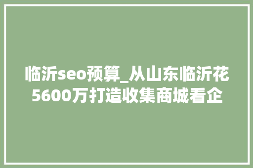 临沂seo预算_从山东临沂花5600万打造收集商城看企业若何花小价钱建网站 临沂seo预算_从山东临沂花5600万打造收集商城看企业若何花小价钱建网站 搜狗SEO