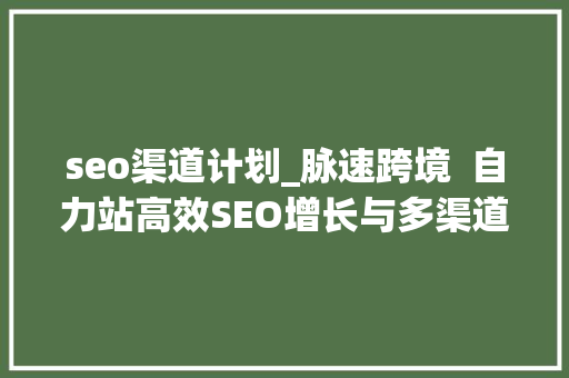 seo渠道计划_脉速跨境  自力站高效SEO增长与多渠道的营销策略分享 seo渠道计划_脉速跨境  自力站高效SEO增长与多渠道的营销策略分享 百度SEO