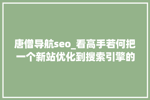 唐僧导航seo_看高手若何把一个新站优化到搜索引擎的首页第四天 唐僧导航seo_看高手若何把一个新站优化到搜索引擎的首页第四天 必应SEO