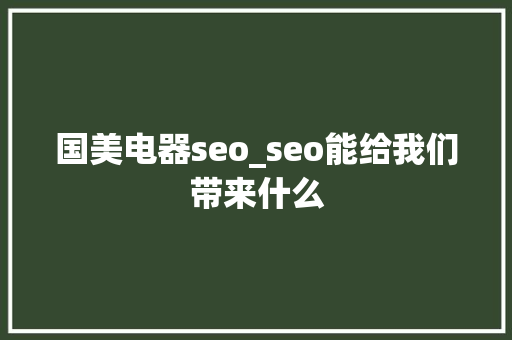 国美电器seo_seo能给我们带来什么