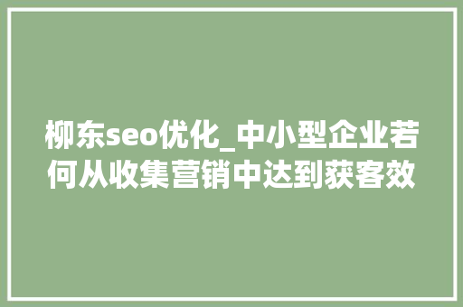 柳东seo优化_中小型企业若何从收集营销中达到获客效果 柳东seo优化_中小型企业若何从收集营销中达到获客效果 神马SEO