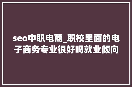 seo中职电商_职校里面的电子商务专业很好吗就业倾向呢