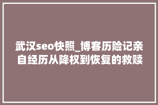 武汉seo快照_博客历险记亲自经历从降权到恢复的救赎之路 武汉seo快照_博客历险记亲自经历从降权到恢复的救赎之路 神马SEO