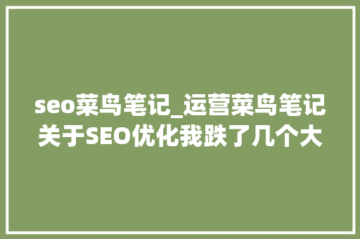 seo菜鸟笔记_运营菜鸟笔记关于SEO优化我跌了几个大年夜坑 seo菜鸟笔记_运营菜鸟笔记关于SEO优化我跌了几个大年夜坑 SEO关键词