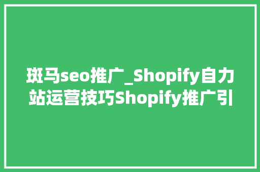 斑马seo推广_Shopify自力站运营技巧Shopify推广引流办法