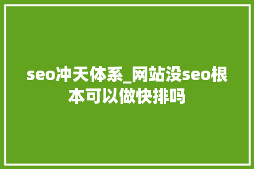 seo冲天体系_网站没seo根本可以做快排吗