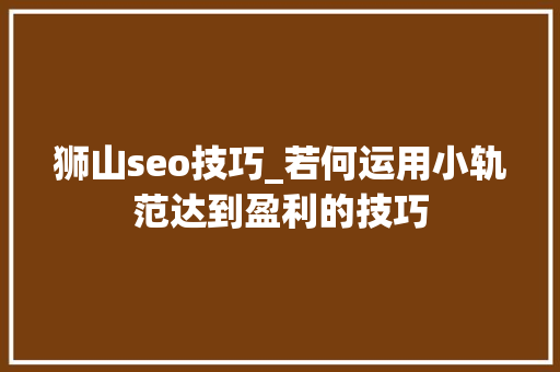 狮山seo技巧_若何运用小轨范达到盈利的技巧
