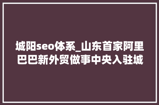 城阳seo体系_山东首家阿里巴巴新外贸做事中央入驻城阳