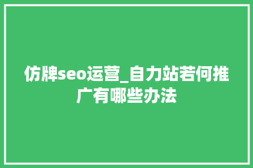 仿牌seo运营_自力站若何推广有哪些办法