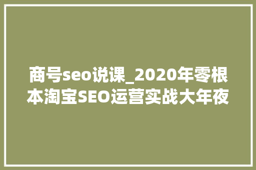 商号seo说课_2020年零根本淘宝SEO运营实战大年夜数据时代精细化运营流程