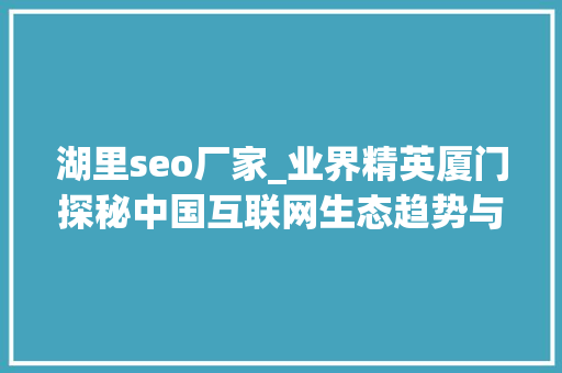 湖里seo厂家_业界精英厦门探秘中国互联网生态趋势与成长未来 湖里seo厂家_业界精英厦门探秘中国互联网生态趋势与成长未来 必应SEO